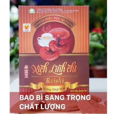 Nấm Linh Chi Đỏ Nhật 500g - Xích Linh Chi Thượng Hạng, Hoạt Chất Cao, Hộp Cao Cấp - Giá ưu đãi 179.000 VND