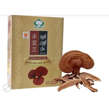 Nấm Linh Chi Đỏ Nhật 500g - Xích Linh Chi Thượng Hạng, Hoạt Chất Cao, Hộp Cao Cấp - Giá ưu đãi 179.000 VND
