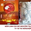 Nấm Linh Chi Đỏ Nhật 500g - Xích Linh Chi Thượng Hạng, Hoạt Chất Cao, Hộp Cao Cấp - Giá ưu đãi 179.000 VND 7