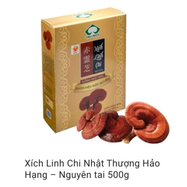 Nấm Linh Chi Đỏ Nhật 500g - Xích Linh Chi Thượng Hạng, Hoạt Chất Cao, Hộp Cao Cấp - Giá ưu đãi 179.000 VND