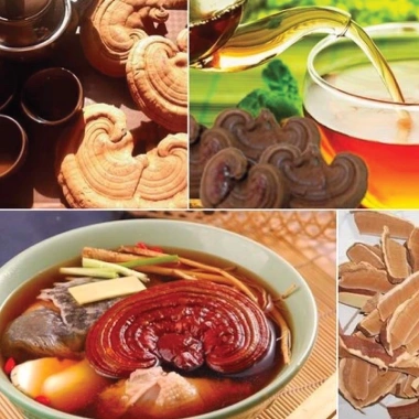 Nấm Linh Chi Đỏ Vàng Thái Lát Thượng Hạng Hộp Cô Gái Hàn Quốc Giá 569.000đ 5