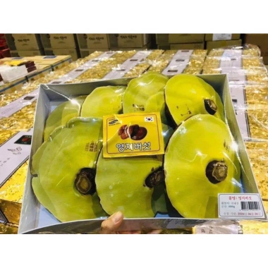 Nấm linh chi Hàn Quốc - Tăng sức đề kháng, giảm giá 1.085.800 den 890.000 VND