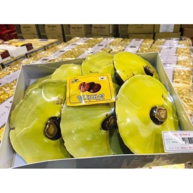 Nấm linh chi Hàn Quốc - Tăng sức đề kháng, giảm giá 1.085.800 den 890.000 VND