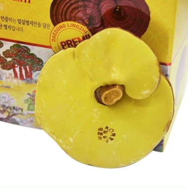 Nấm Linh Chi Hộp Cô Gái Hàn Quốc Chính Hãng - Giá 1,750,000 VNĐ, Tăng Sinh Lực