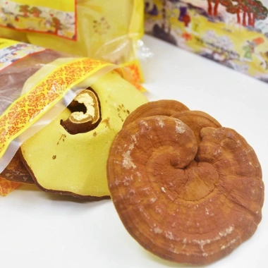 Nấm Linh Chi Hộp Cô Gái Hàn Quốc Chính Hãng - Giảm Giá 2,5 Triệu, Tăng Cường Miễn Dịch 5