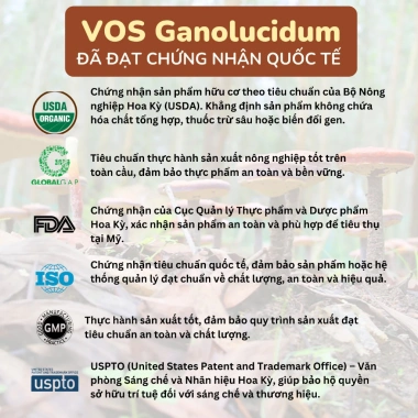Nấm Linh Chi Khô Ganolucidum - Tăng Miễn Dịch, Giảm Stress, Ngủ Ngon, Giá 191k 9