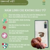 Nấm Linh Chi Không Bào Tử Dạng Bột - Hỗ Trợ Sức Đề Kháng, Giảm Cân, Giá 145.000đ 3