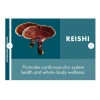 Nấm Linh Chi Reishi 60 viên – Non-GMO, Không Gluten, Tăng Miễn Dịch, Giá 790.000₫ 3