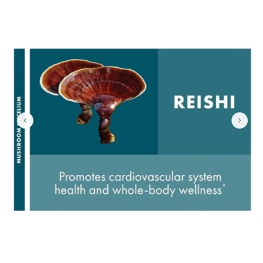 Nấm Linh Chi Reishi 60 viên – Non-GMO, Không Gluten, Tăng Miễn Dịch, Giá 790.000₫ 3 Nấm Linh Chi Reishi 60 viên – Non-GMO, Không Gluten, Tăng Miễn Dịch, Giá 790.000₫ 3
