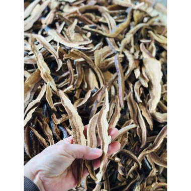 Nấm Linh Chi Rừng Thái Lát 500gr - Nấm Hồng Chi Chính Hãng Giá Ưu Đãi 106.250₫