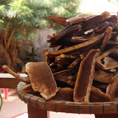Nấm Linh Chi Rừng Thái Lát Gốc Tây Nguyên – 150k, Hoàn Tiền nếu không hài lòng