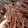 Nấm linh chi sừng hươu 1kg - Giá ưu đãi 295.000đ, tăng sức đề kháng, hỗ trợ sức khỏe tự nhiên 3