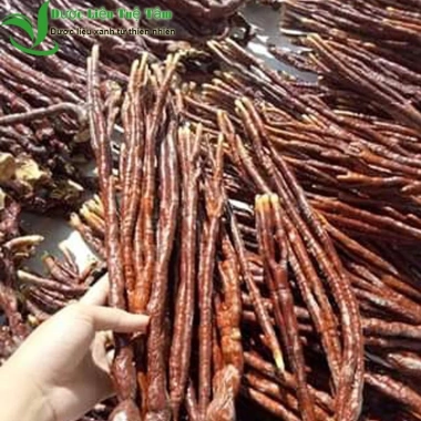 Nấm linh chi sừng hươu 1kg - Giá ưu đãi 295.000đ, tăng sức đề kháng, hỗ trợ sức khỏe tự nhiên 3