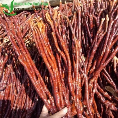 Nấm linh chi sừng hươu 1kg - Giá ưu đãi 295.000đ, tăng sức đề kháng, hỗ trợ sức khỏe tự nhiên 4