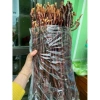 Nấm linh chi sừng hươu ngâm rượu - Nước uống tăng sức đề kháng, giảm còn 200.000 VND (giá gốc 242.000 VND) 4
