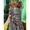 Nấm linh chi sừng hươu ngâm rượu - Nước uống tăng sức đề kháng, giảm còn 200.000 VND (giá gốc 242.000 VND) 5