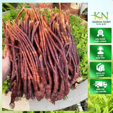 Nấm Linh Chi Sừng Hươu Tây Bắc thu hái rừng, phơi khô tự nhiên, thảo dược, giá 220.000đ
