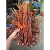 Nấm Linh Chi Sừng Hươu Tây Bắc thu hái rừng, phơi khô tự nhiên, thảo dược, giá 220.000đ 2