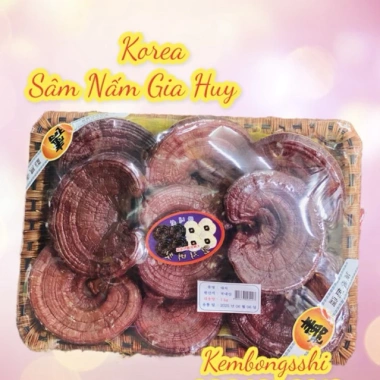 Nấm Linh Chi Tai Đỏ 6 Năm Tuổi Dạng Khay Hàn Quốc - Giá Ưu Đãi 759,000 VNĐ