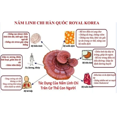 Nấm Linh Chi Thái Lát Hàn Quốc Túi Vàng 1kg – Giá 479.000đ, chất lượng cao