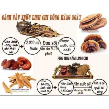 Nấm Linh Chi Vàng Chanh Hàn Quốc Giảm Lão Hóa Tăng Miễn Dịch Bảo Vệ Gan 999.000₫ 9