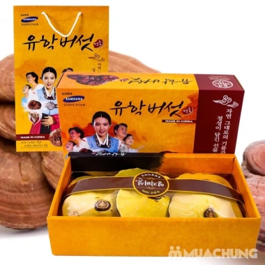 Nấm Linh Chi Vàng Hàn Quốc 1kg Hộp Cô Gái Giá Ưu Đãi 679k - Hàng Mới Về