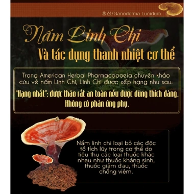 Nấm Linh Chi Vàng Hàn Quốc 1kg Hộp Cô Gái Giá Ưu Đãi 679k - Hàng Mới Về