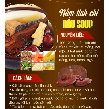 Nấm Linh Chi Vàng Hàn Quốc 1kg Hộp Cô Gái Giá Ưu Đãi 679k - Hàng Mới Về