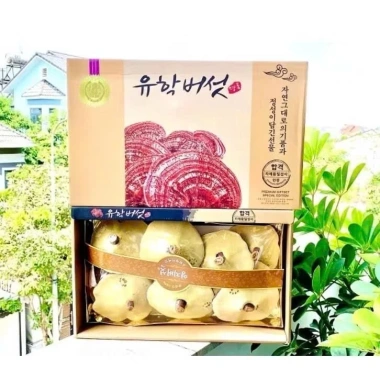 Nấm Linh Chi Vàng Hàn Quốc Sangju City - Hộp quà tặng 1kg Giá ưu đãi 650k 8