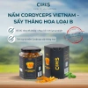 Nấm Sấy Thăng Hoa Đông Trùng Hạ Thảo CAO CẤP 10G-15G - CERES Cordyceps Việt Nam