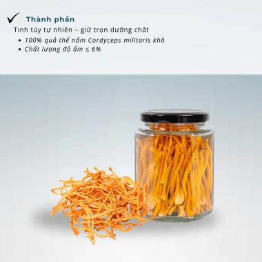 Nấm Sấy Thăng Hoa Đông Trùng Hạ Thảo CAO CẤP 10G-15G - CERES Cordyceps Việt Nam 2