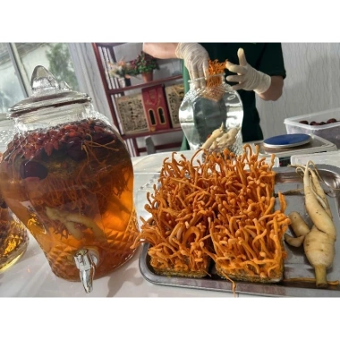 Nấm Tươi Đông Trùng Hạ Thảo 200g – Quà Tặng Kèm, Vacofarm Chính Hãng, Giá 90.000