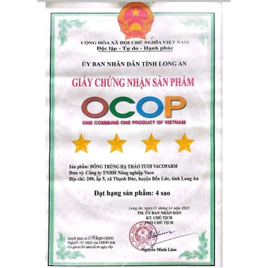 Nấm Tươi Đông Trùng Hạ Thảo 200g – Quà Tặng Kèm, Vacofarm Chính Hãng, Giá 90.000 9 Nấm Tươi Đông Trùng Hạ Thảo 200g – Quà Tặng Kèm, Vacofarm Chính Hãng, Giá 90.000 9
