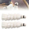 Namsheva Cầu Lông 3‑12 Chiếc Bền Ổn Định, Dụng Cụ Huấn Luyện Thể Thao Chuyên Nghiệp Cho Gia Đình - Giá 66.204₫ 4
