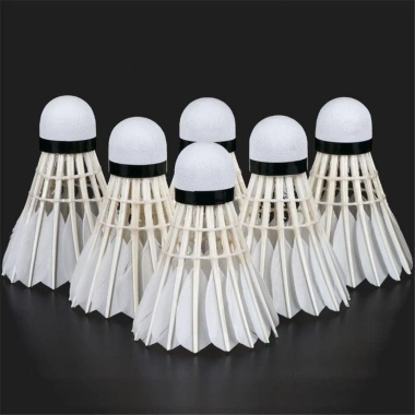 Namsheva Cầu Lông 3‑12 Chiếc Bền Ổn Định, Dụng Cụ Huấn Luyện Thể Thao Chuyên Nghiệp Cho Gia Đình - Giá 66.204₫ 5