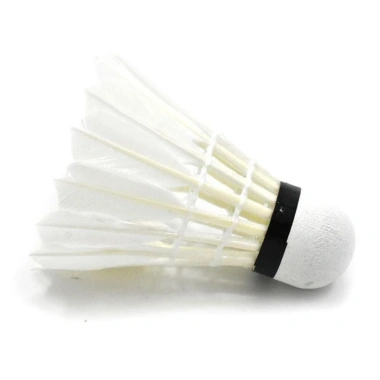 Namsheva Cầu Lông 3‑12 Chiếc Bền Ổn Định, Dụng Cụ Huấn Luyện Thể Thao Chuyên Nghiệp Cho Gia Đình - Giá 66.204₫ 6