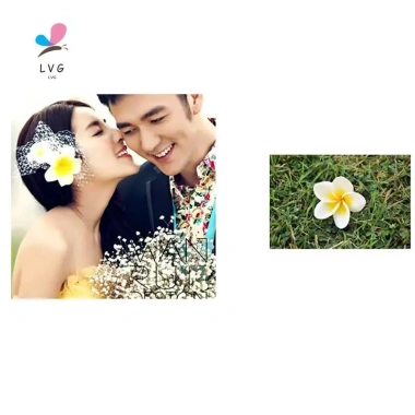 Nắng Sáng Thời Trang Hoa Kẹp Tóc Nữ - Barrette Mũ Đầu Hairgrip Giá 22.680đ