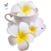 Nắng Sáng Thời Trang Hoa Kẹp Tóc Nữ - Barrette Mũ Đầu Hairgrip Giá 22.680đ 5