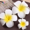Nắng Sáng Thời Trang Hoa Kẹp Tóc Nữ - Barrette Mũ Đầu Hairgrip Giá 22.680đ 7