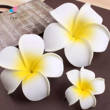 Nắng Sáng Thời Trang Hoa Kẹp Tóc Nữ - Barrette Mũ Đầu Hairgrip Giá 22.680đ