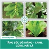 Nano Đồng Diệt Nấm Cây Trồng BS06 - Tẩy Rửa Vườn, Xanh Dày Lá, Giá 48k 6