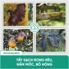 Nano Đồng Diệt Nấm Cây Trồng BS06 - Tẩy Rửa Vườn, Xanh Dày Lá, Giá 48k 7