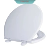 Nắp bệt bồn cầu Hàng Loại 1 - Kích thước chuẩn, Giá 73.000₫ giảm mạnh