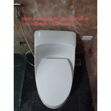 Nắp bồn cầu đóng êm 394CVK#W - Thay thế ToTo, Kohler, giá ưu đãi 921.033₫