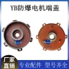 Nắp đầu động cơ YB2 8.090.100.112.132.160 - Vỏ điện, nắp cuối trung tính 0RWN, giảm 19% 6