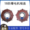 Nắp đầu động cơ YB2 8.090.100.112.132.160 - Vỏ điện, nắp cuối trung tính 0RWN, giảm 19% 7