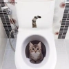 Nắp Vệ Sinh Decal NS Chống Thấm Nước WC - Tự Dính, Tháo Rời, Trang Trí Gia Đình 2