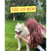 Nâu Hồng Trà - Thuốc nhuộm tóc ko tẩy, siêu bền màu, thời trang - KOCHIEs 149k 4