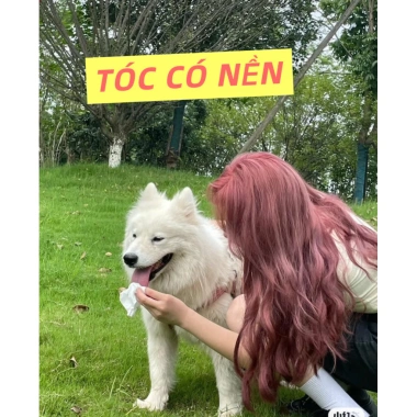 Nâu Hồng Trà - Thuốc nhuộm tóc ko tẩy, siêu bền màu, thời trang - KOCHIEs 149k 4 Nâu Hồng Trà - Thuốc nhuộm tóc ko tẩy, siêu bền màu, thời trang - KOCHIEs 149k 4