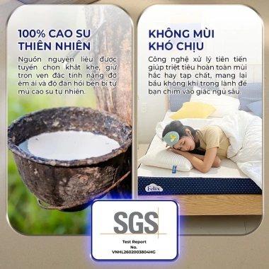 Nệm Cao Su Felix Premium Comfort Giao Tận Cửa - Khử Mùi, Kháng Cháy, Thoáng Khí, Độ Cứng Tiêu Chuẩn, Bền 20 Năm 8